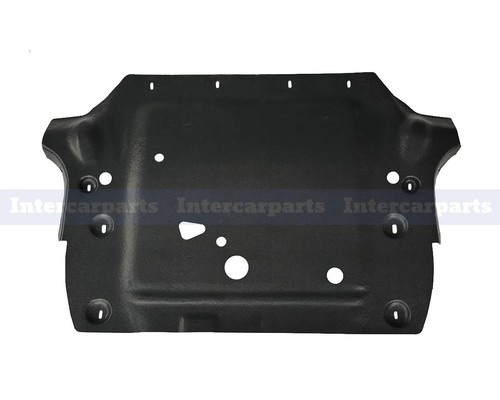 Undertray under engine - engine, cover
